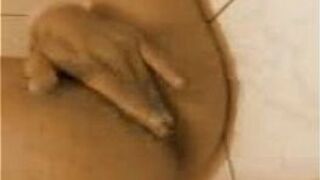 Burlesque Sexy porn video